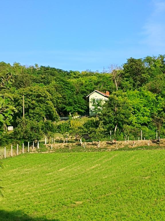 um campo verde com uma casa ao fundo em Baranja green peace em Draž