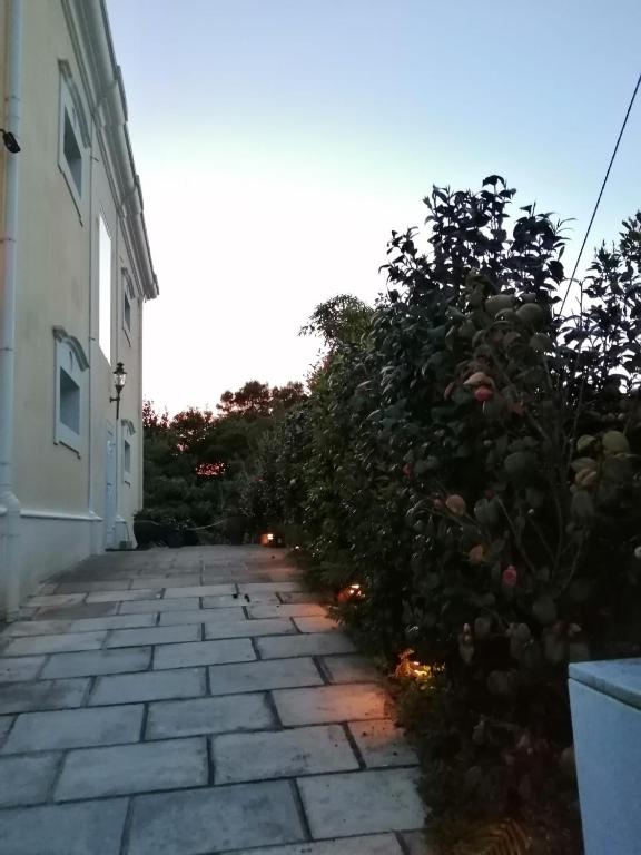 Quinta das Perdizes Low Cost, Ponta Delgada (updated prices 2024)