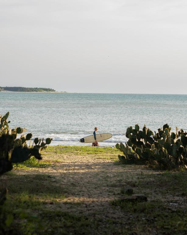 Fotografie z fotogalerie ubytování Sunrise Cabanas v destinaci Arugam Bay