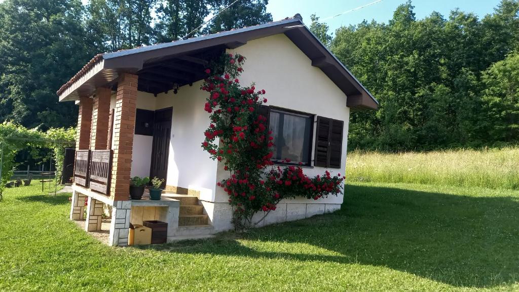 una pequeña casa blanca con una ventana con flores rojas en Šumska čarolija en Kosjerić