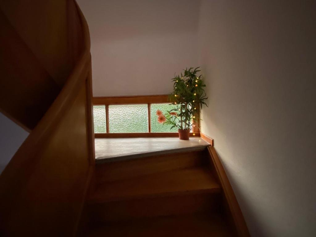 Postel nebo postele na pokoji v ubytování Haus Sunshine - Ferienwohnung Sunshine 1