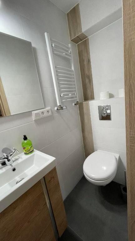Koupelna v ubytování Apartament U Waldka