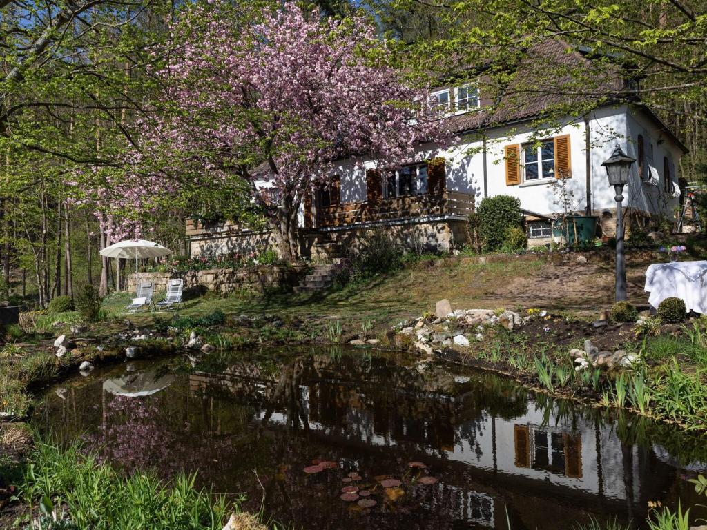 a house with a pond in front of it at Charming Apartment in Wei enbrunn near Forest in Weißenbrunn