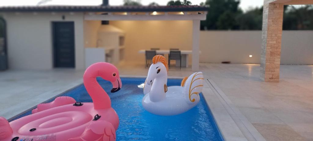 un gruppo di fenicotteri rosa in una piscina di Villa Salvore - new luxury house, heated pool, near beaches, playroom - Istria a Savudrija
