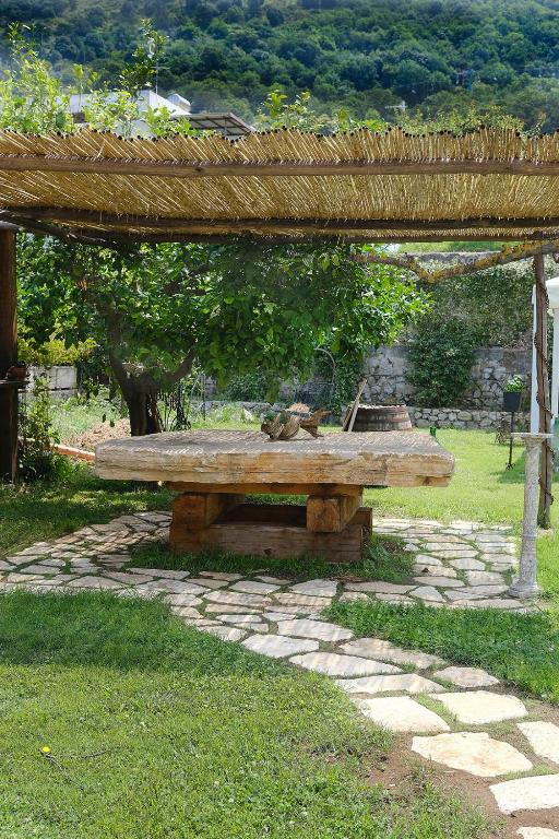 Ogród w obiekcie Numero20 B&B