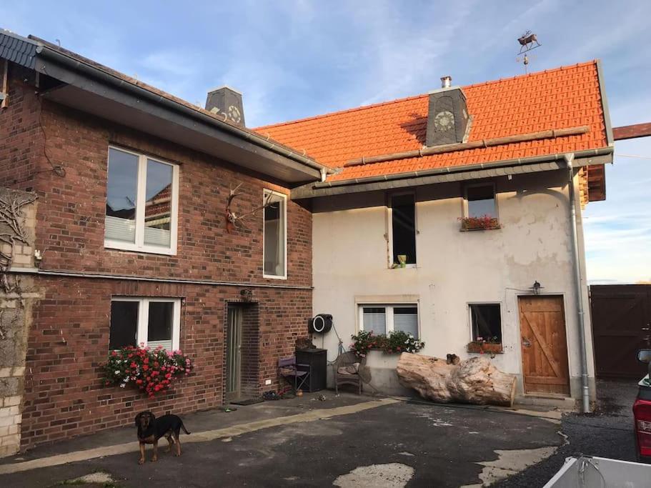 a house with a dog standing in front of it at Ferienwohnung Felinenhof in Weilerswist