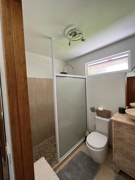 a bathroom with a toilet and a shower stall at O'coco Bungalow in Paea