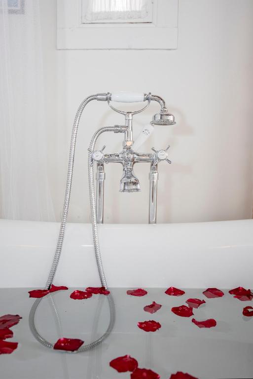 Palace Museum & National Monument - Espaço Palmeiras - Resim 39