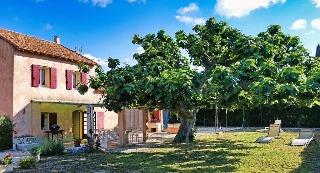 un arbre dans une cour à côté d'une maison dans l'établissement Mas Dante, à Cassis