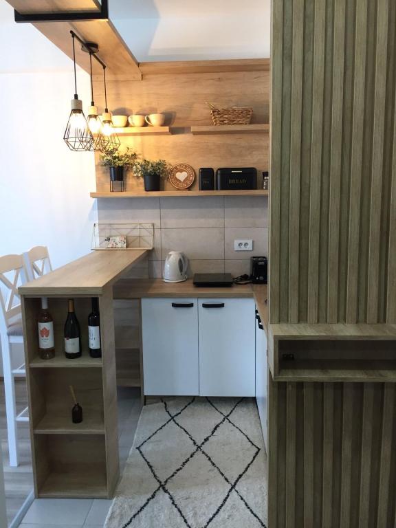Kuchyň nebo kuchyňský kout v ubytování Apartman Mijatovic