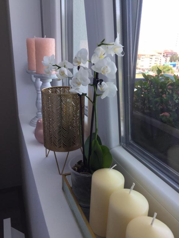 Fotografie z fotogalerie ubytování Apartman Mijatovic v destinaci Jagodina