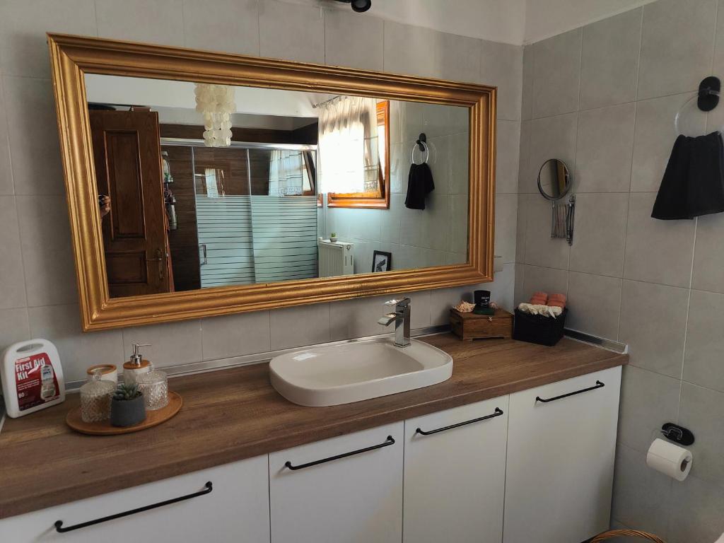 a bathroom with a sink and a mirror at The Cozy Garden Villa 