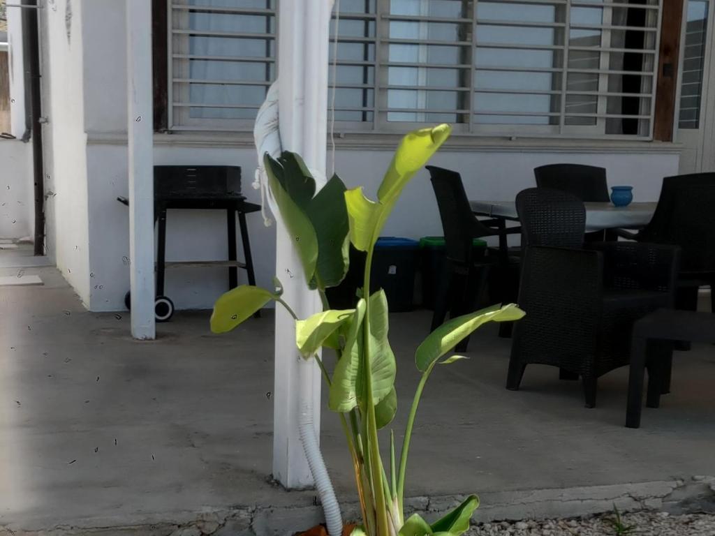 Kép Casa vacanze Abbacari szállásáról Realmontéban a galériában