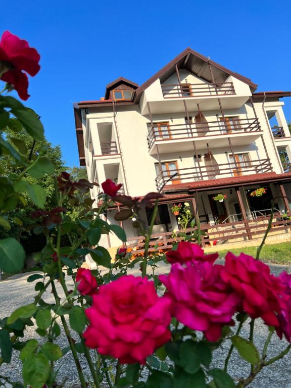 un edificio con rosas rosas delante de él en Roua Muntelui, en Sărata-Monteoru