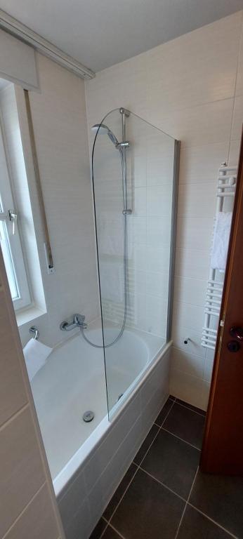 Stadthotel am Bühnenhaus - Estudio Triple Estándar