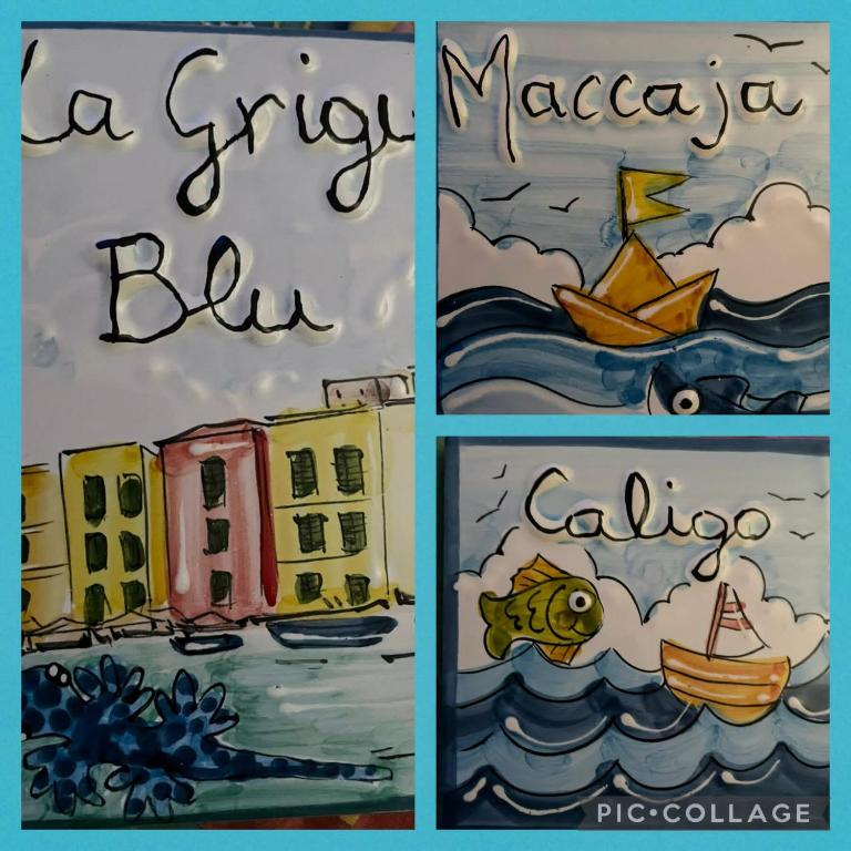 La Grigua blu - ペントハウス アパートメント