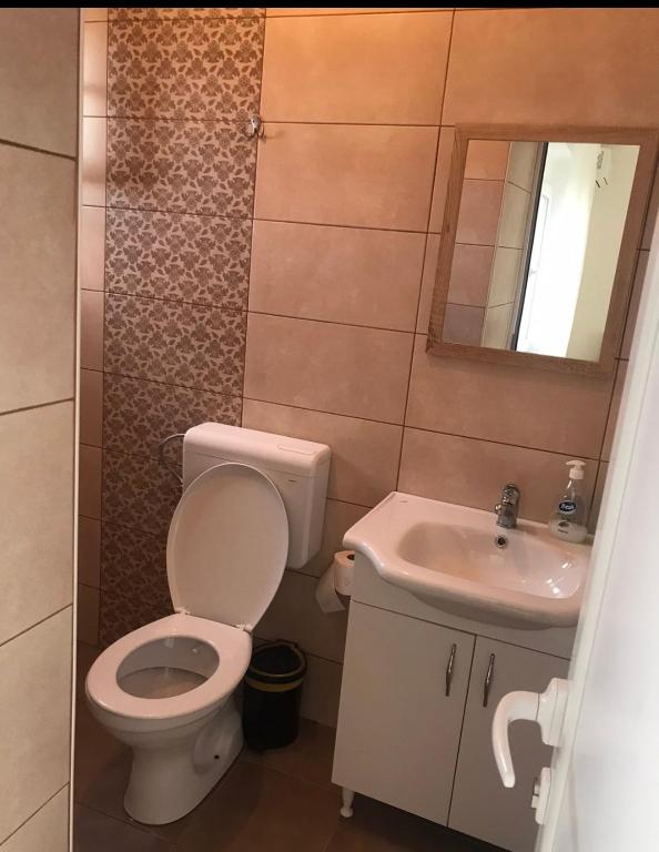 Vannituba majutusasutuses Apartman Hana