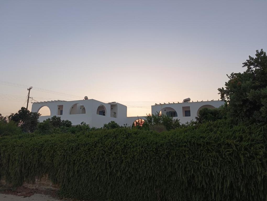a couple of white houses with a hedge at Andreana's House in Antiparos