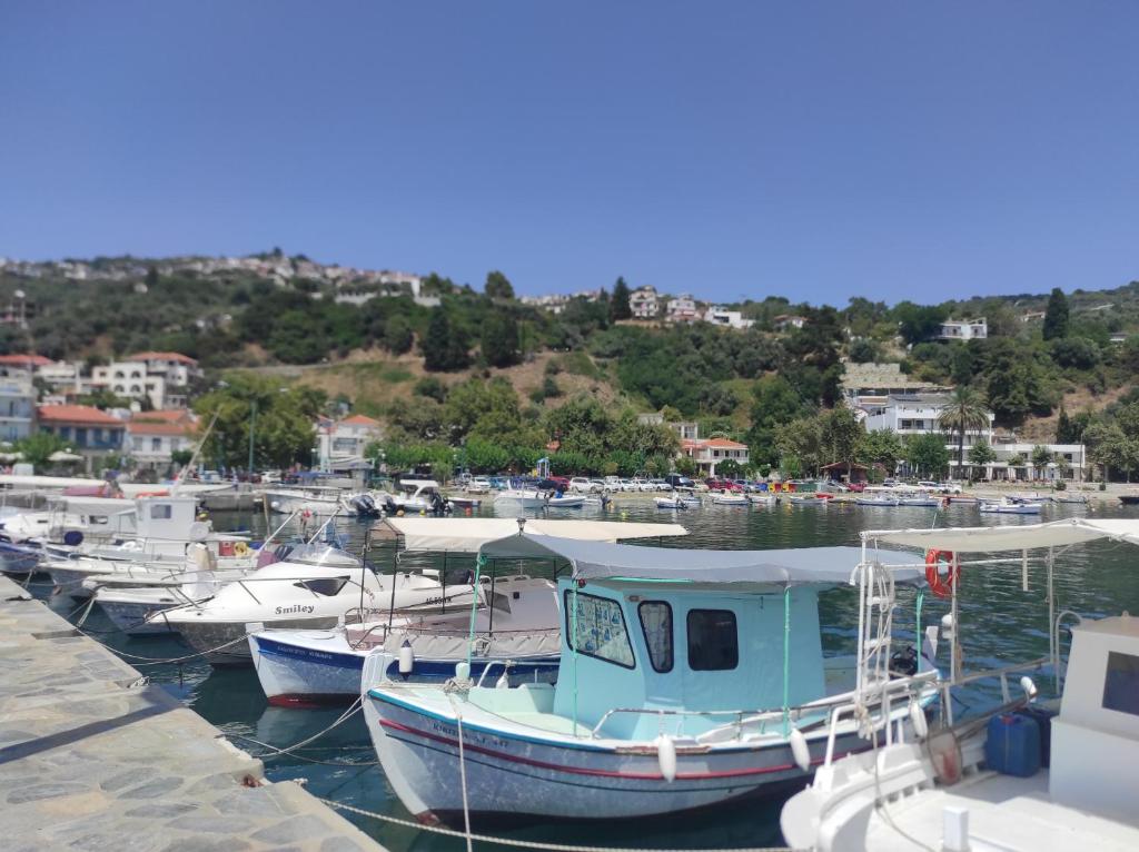 Rita' s House Glossa Skopelos, Glossa – Updated 2024 Prices