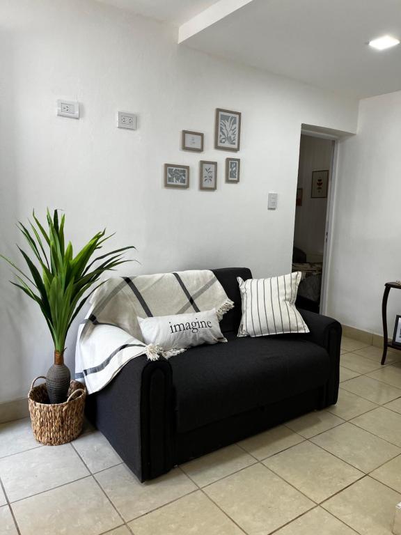 un sofá negro en una sala de estar con una planta en Departamento Cristo del Portezuelo II en Chilecito