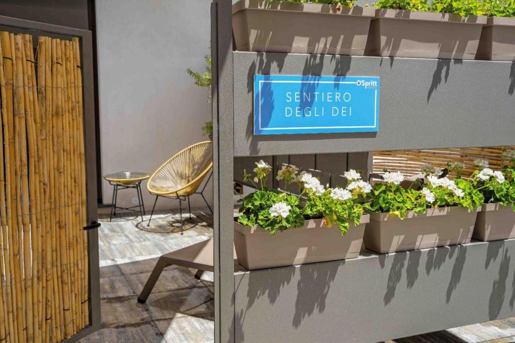 Fotografie z fotogalerie ubytování OSprittHouse v destinaci Agerola
