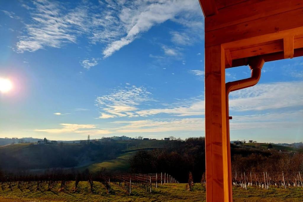 ŠtrigovaにあるRuralna kuća za odmor Julijanaのブドウ畑の景色を望む木造建築