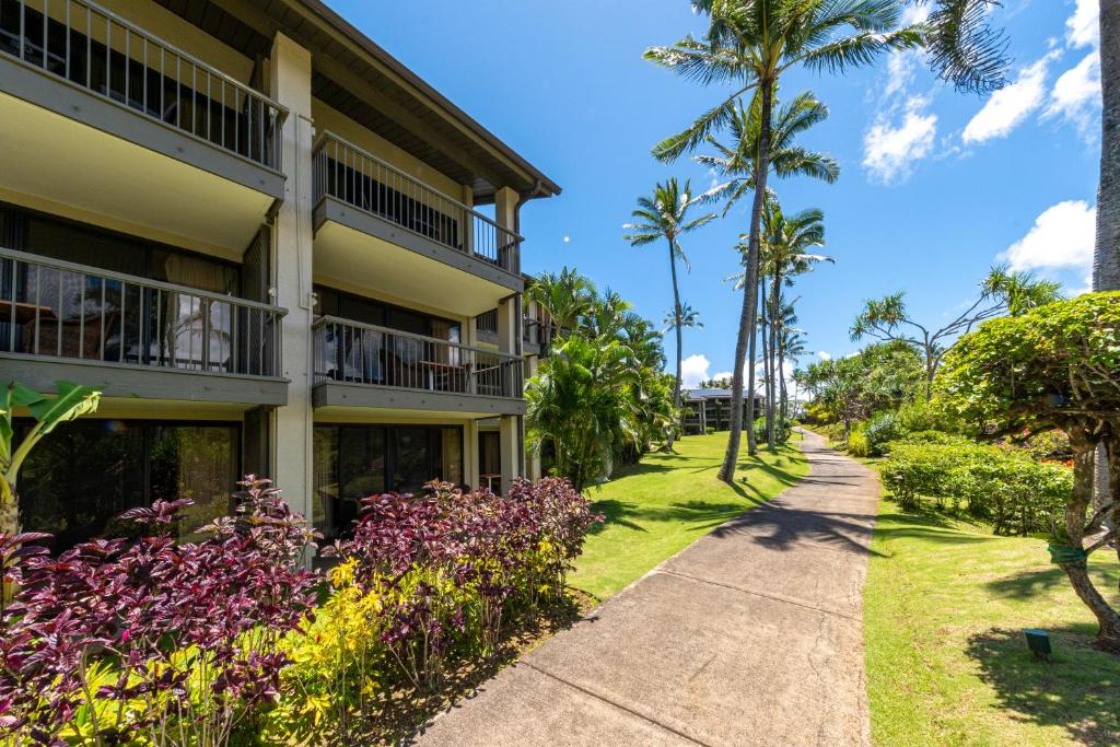 Turtle Bay Resort Parking: Easy Access Tips & Tricks
