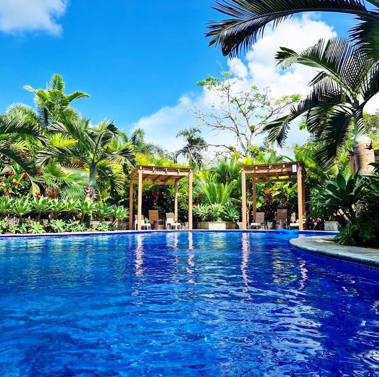 a swimming pool with blue water and palm trees at Hotel Boutique Casa Del Rio in Fortuna