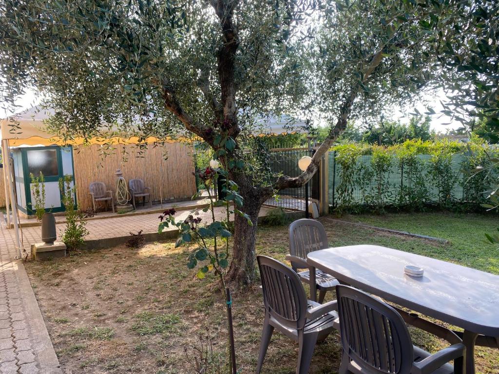A garden outside Casa versilia