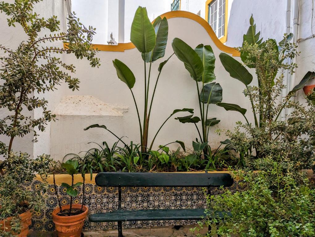 Hotel Solar de Monfalim - Resim 11