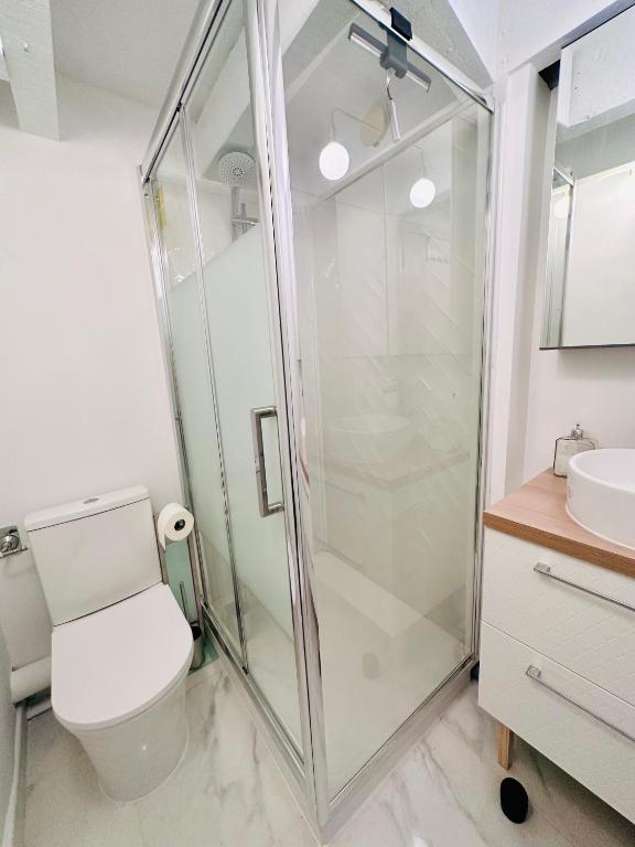 a bathroom with a shower and a toilet at L&#39;Etoile - Duplex cosy de 50m2 en centre-ville in Nîmes