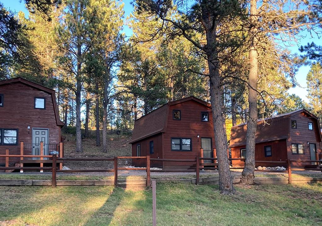 a large wooden house in the middle of a forest at Trailshead Lodge - Cabin 4 in Lead