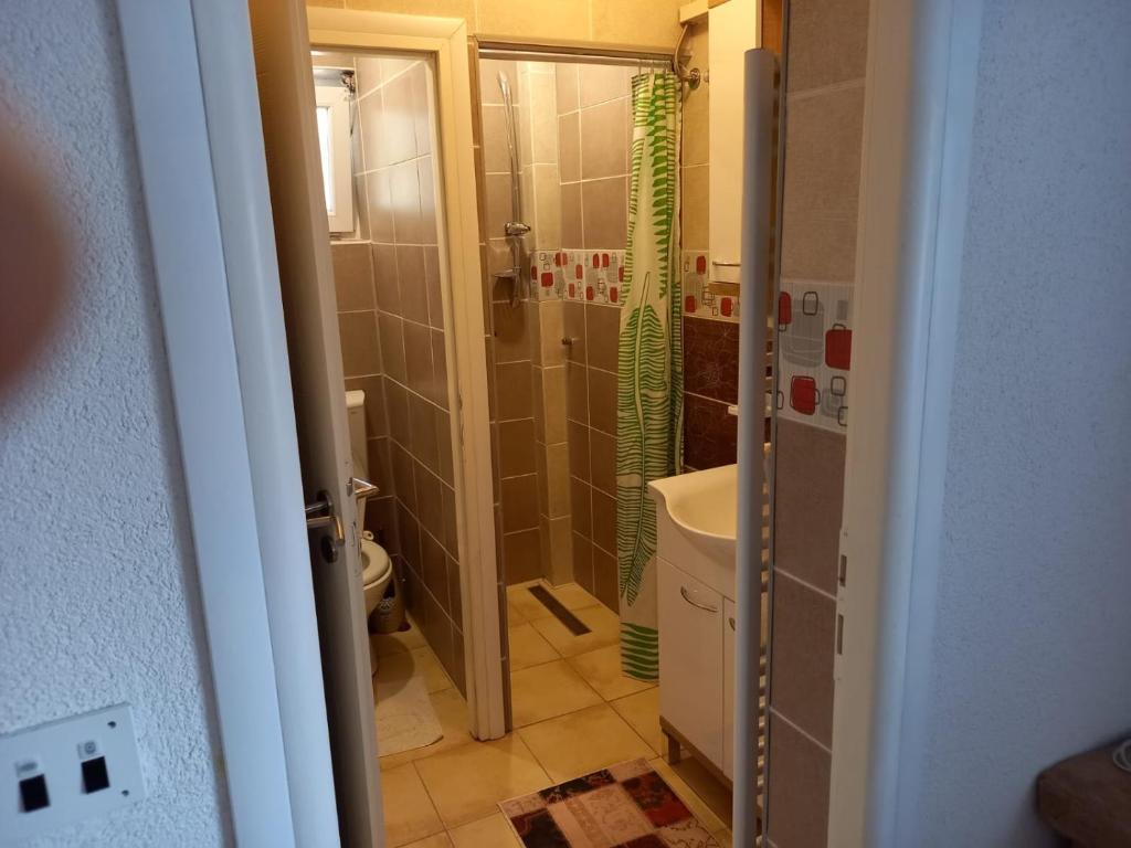 La salle de bains est pourvue d'une douche, d'un lavabo et de toilettes. dans l'établissement Privatna kuca- Malina, à Visoko
