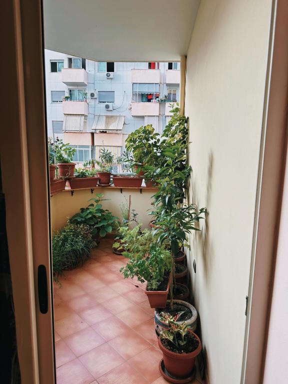 Bed & Breakfast Mina - Image 5