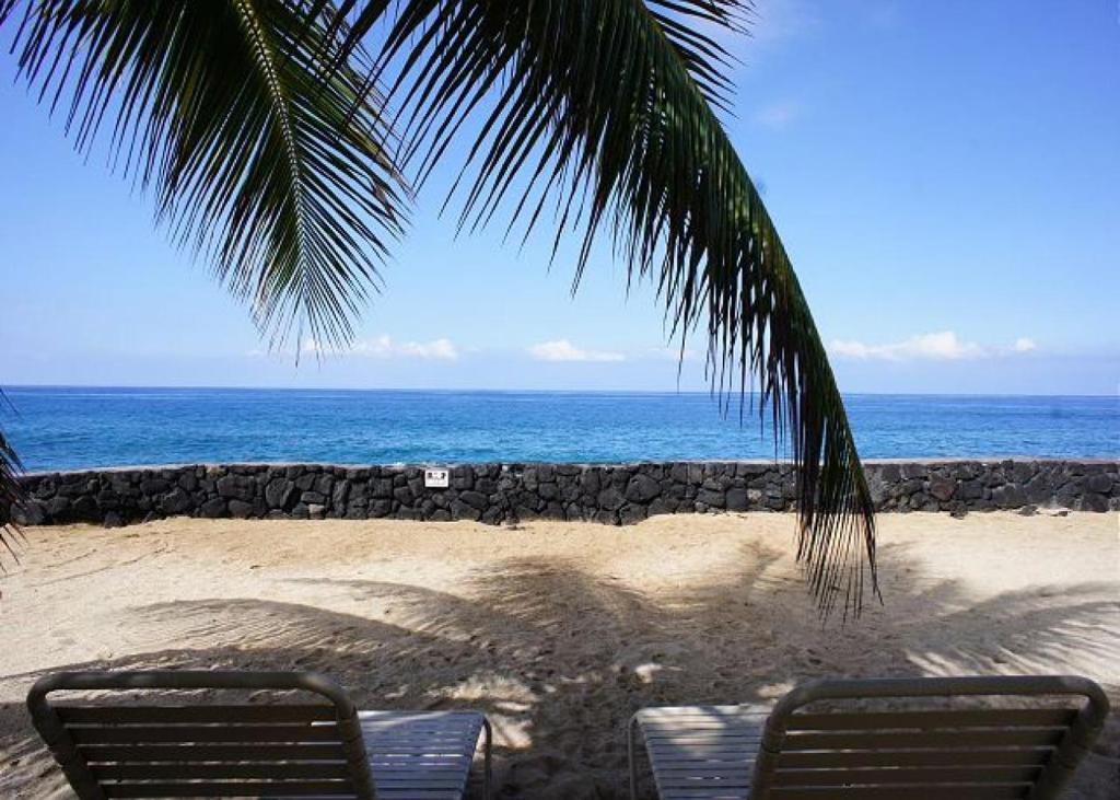una palmera y dos sillas en la playa en Casa de Emdeko 202, en Kailua-Kona