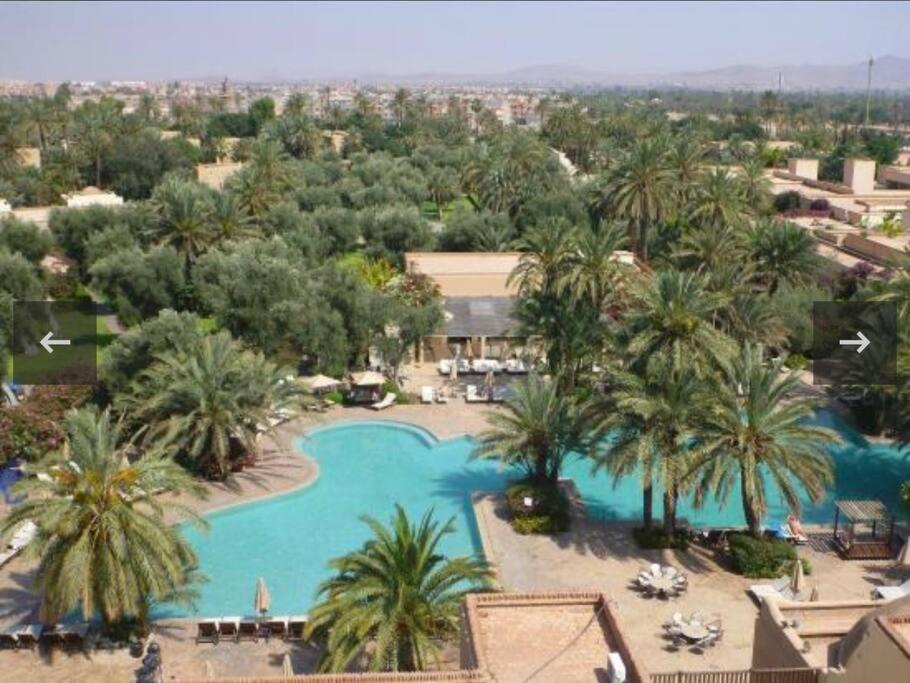 馬拉喀什的住宿－Marrakech Palmeraie village，享有棕榈树游泳池的顶部景致
