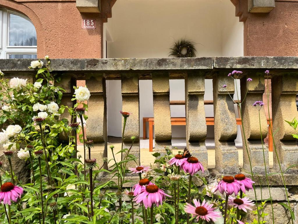 Zahrada ubytování Apartmán Teplice nad Metují