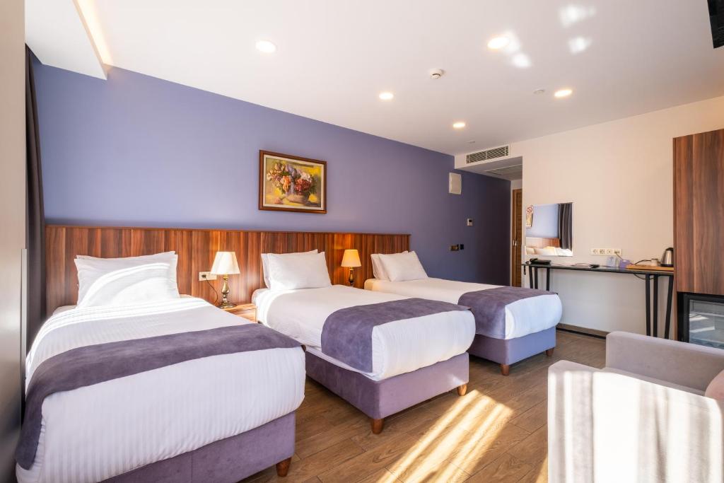 La Wisteria Boutique Hotel Istanbul - Habitación Triple Esquinera