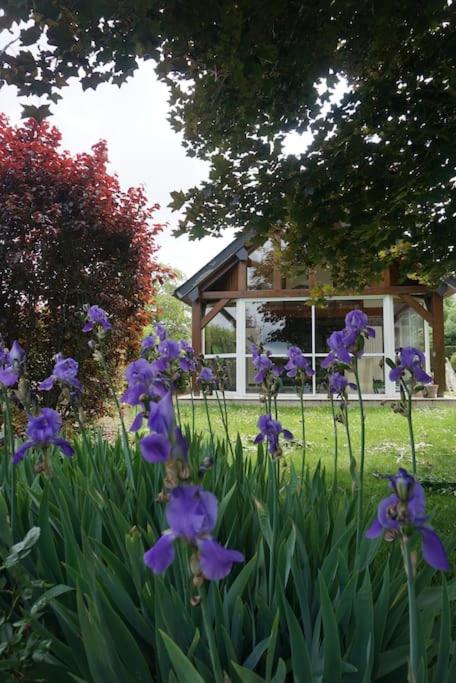 un jardin avec des fleurs violettes devant une maison dans l'établissement L'Escapade du Vexin normand - Spa, à Longchamps