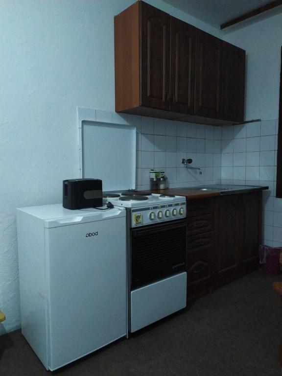 Kuchyň nebo kuchyňský kout v ubytování Apartmani Vila Šljukić
