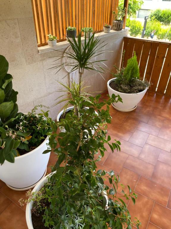 Pombal Suite - Appartement De Trois Chambres