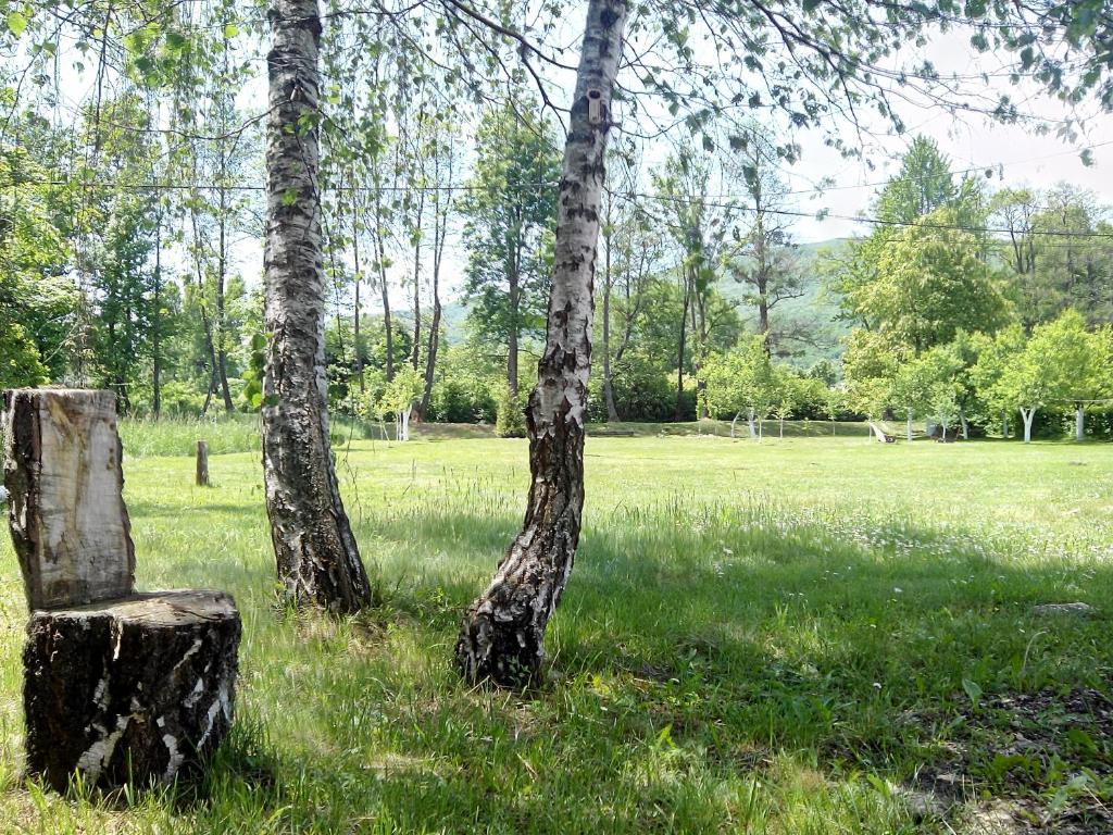 Galesic Apartments & Rooms - 15