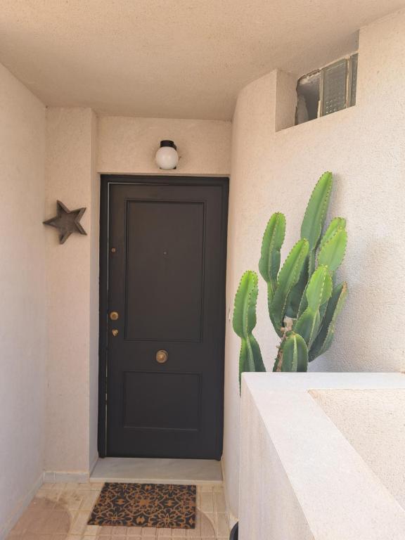 una puerta negra en una habitación con un cactus en Monteluna, en Calabardina