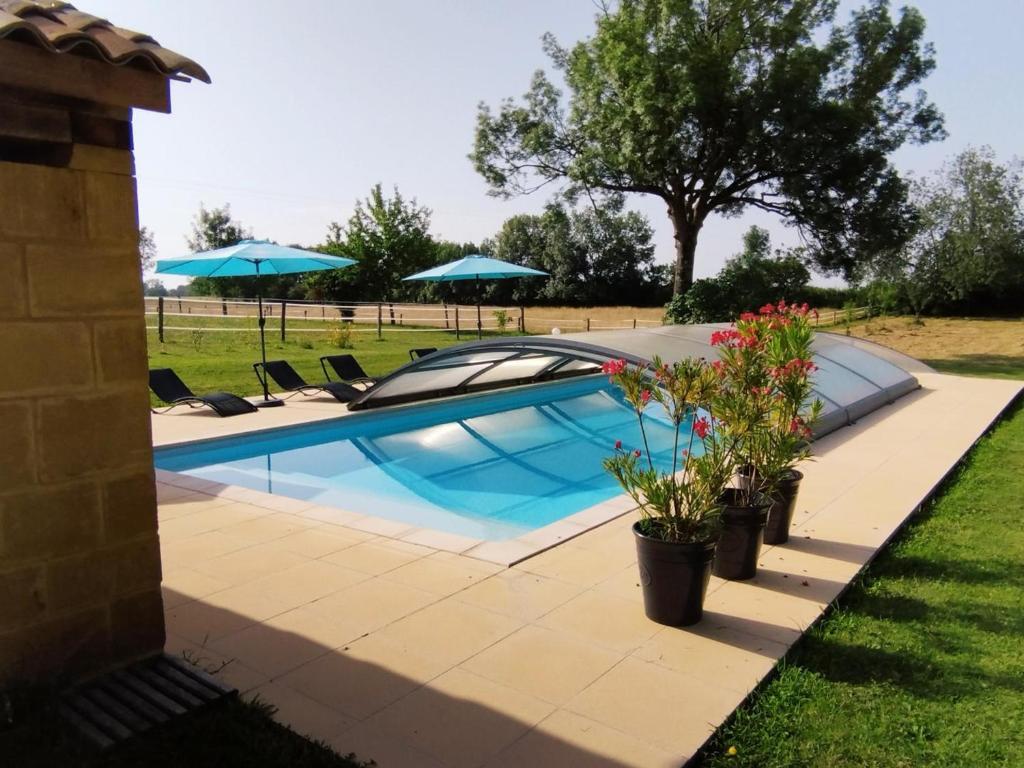 ein Swimmingpool mit Stühlen und Sonnenschirmen in der Unterkunft Studio cosy avec piscine partagée et étang privé, proche Bergerac et sites touristiques du Périgord - FR-1-616-207 in Naussannes