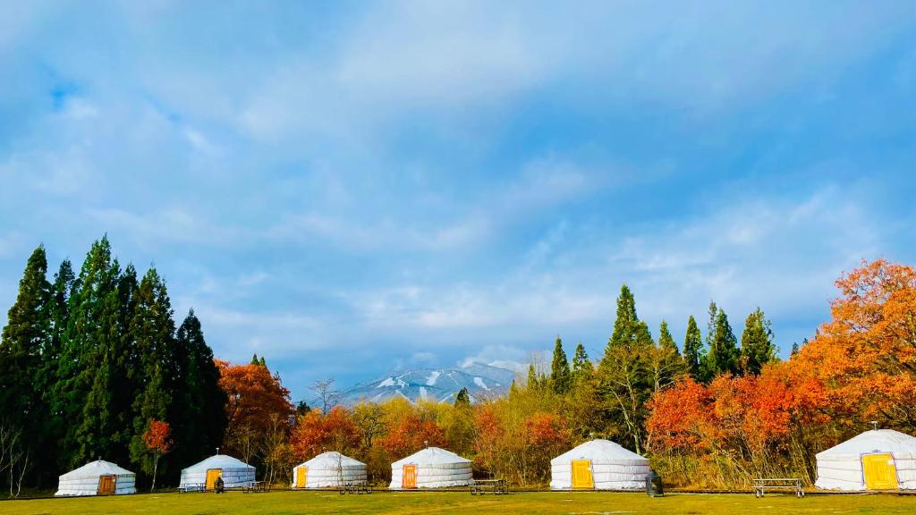 un gruppo di cupole bianche in un campo alberato di miniモンゴルキャンプ場 a Gujo