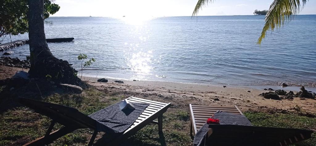 een strand met een stoel en een boom en de oceaan bij RAIATEA - The BEACH HOUSE - plage sur le lagon ! in Tevaitoa