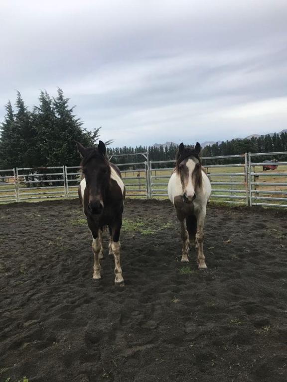 Sherwood Ranch Cottages - 403 Woodbank Road - Resim 13