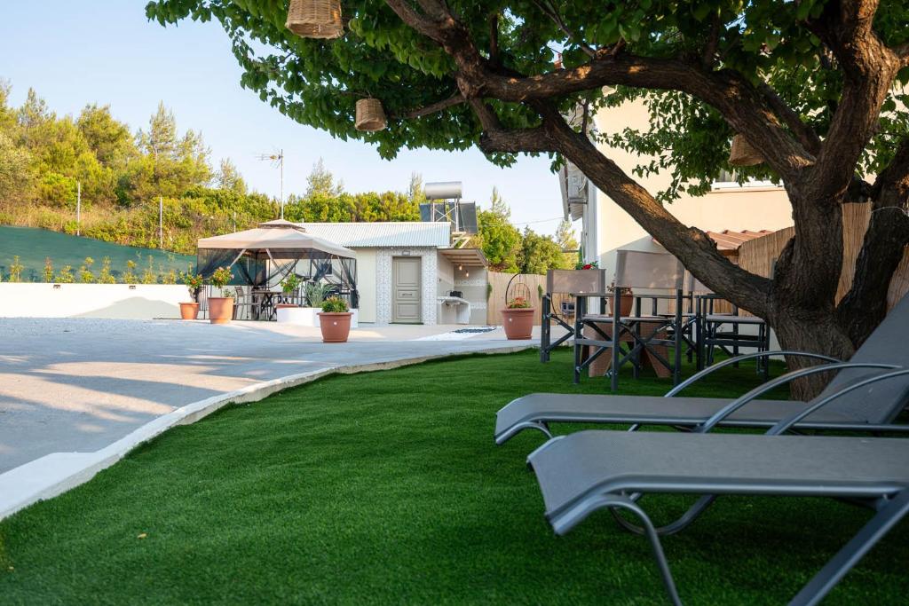 ein Rasen mit Stühlen und ein Baum im Hof in der Unterkunft Villa George in Skiathos in Skiathos-Stadt