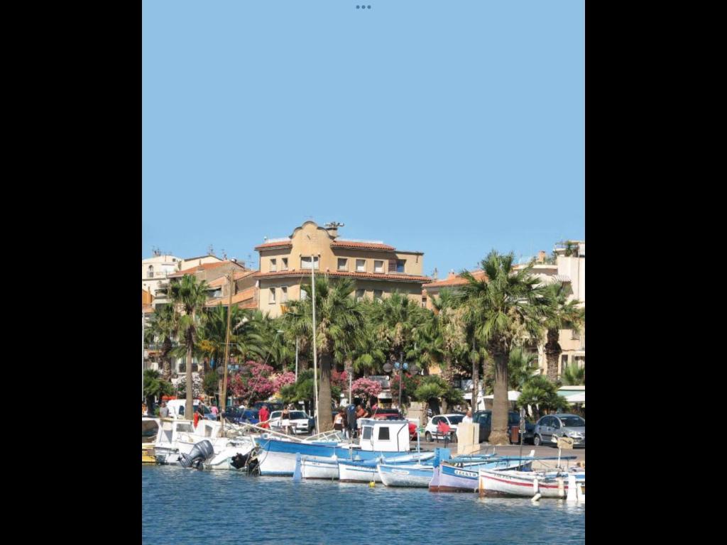 Un tas de bateaux sont amarrés dans un port de plaisance dans l'établissement Studio Bandol Centre 2 étoiles idéal emplacement, à Bandol
