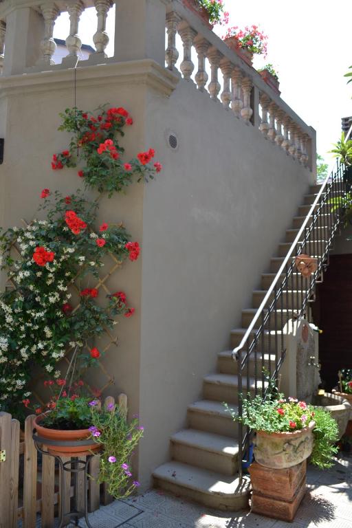 Zahrada ubytování Cosetta Guest House